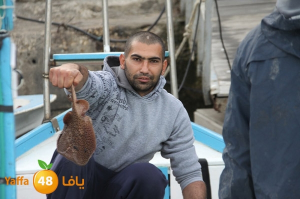 sayyadnewyaffa3 (35).JPG